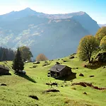 Uf Dr Liwwi By Interhome Apartment Grindelwald