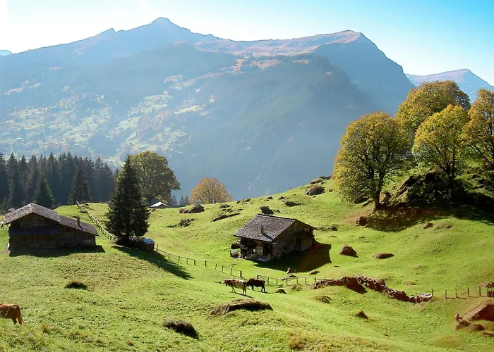 Uf Dr Liwwi By Interhome Apartment Grindelwald