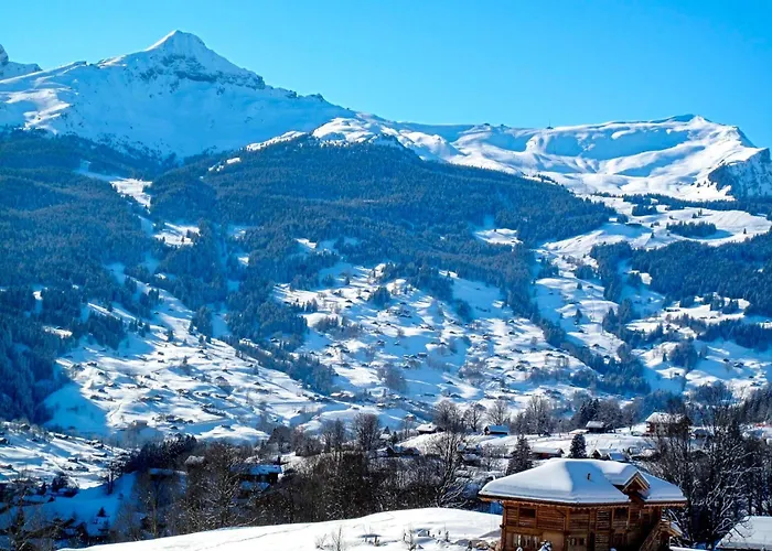 Uf Dr Liwwi By Interhome Apartment Grindelwald