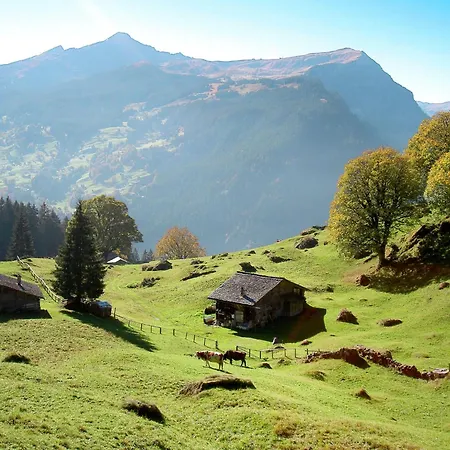 Uf Dr Liwwi By Interhome Apartment Grindelwald